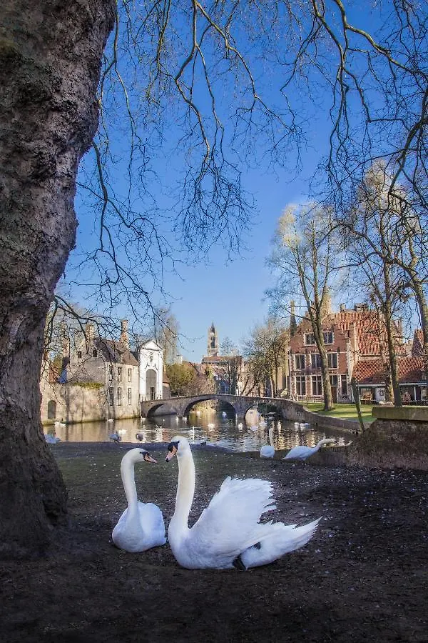 Gastenkamers Ten Huyze Marchandise Brugge Gasthuis